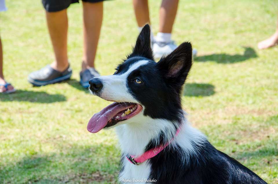 DSC_2507