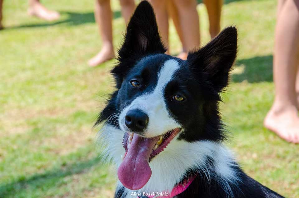 DSC_2508
