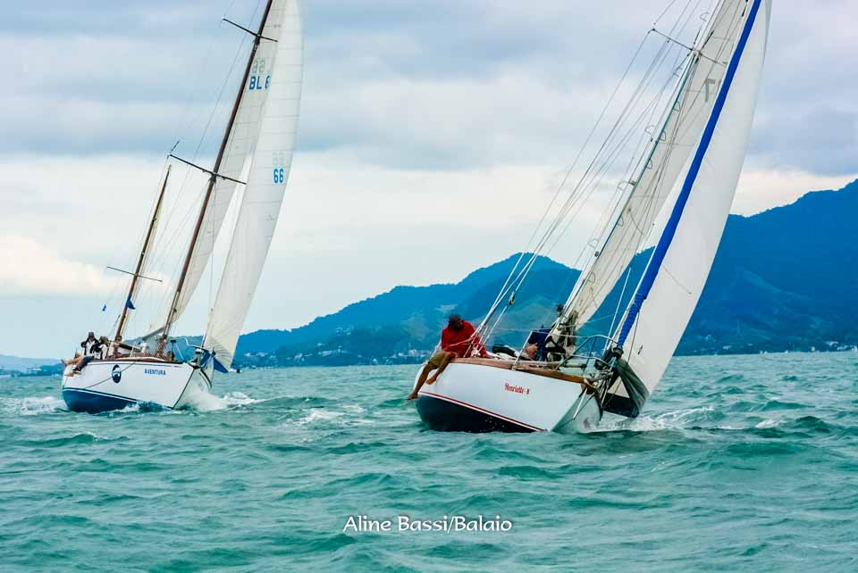 DSC_7916